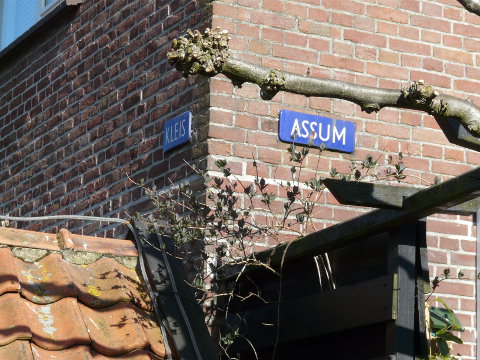 P1130796assum
