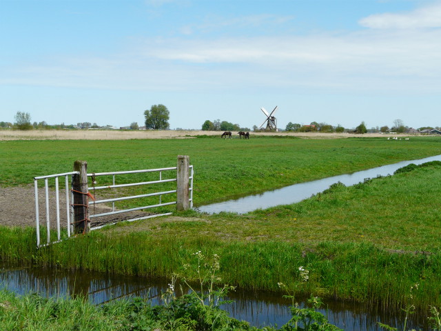 P1150480noorddijk