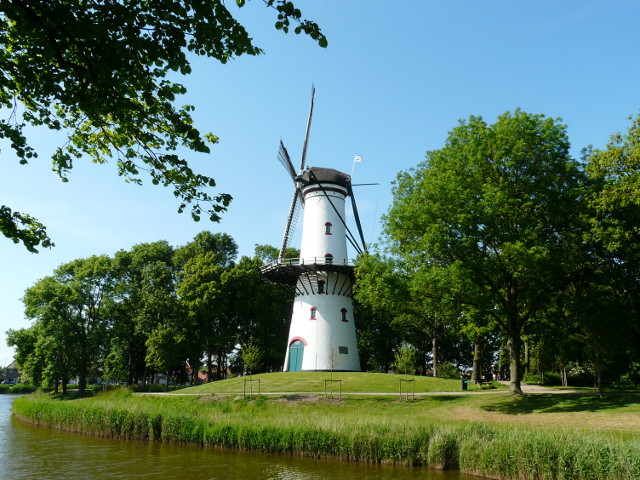 P1160447tholen
