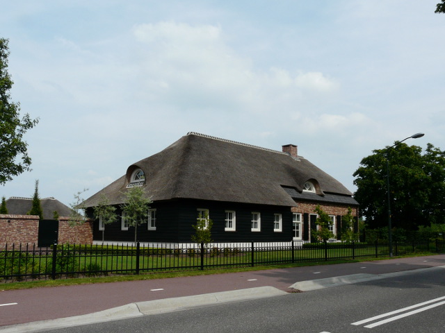 P1160964hapert