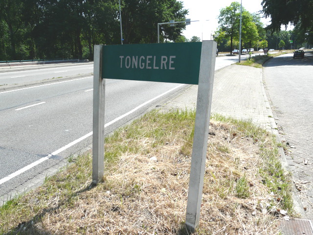 P1170618tongelre
