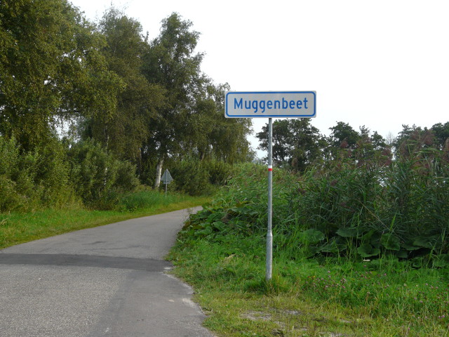 P1190446muggenbeet