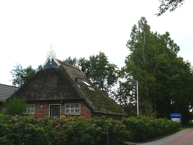 P1190724detike