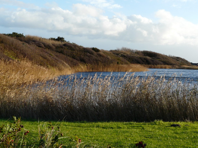 P1200804petten