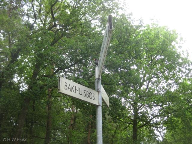 bakhuisbos0888