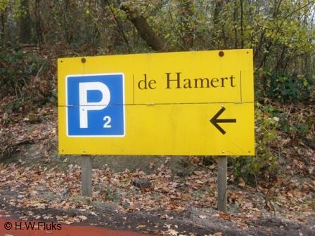 dehamert6897