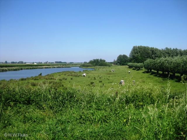 driehoekheijningen0537