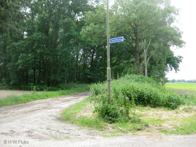 duifhuis0624