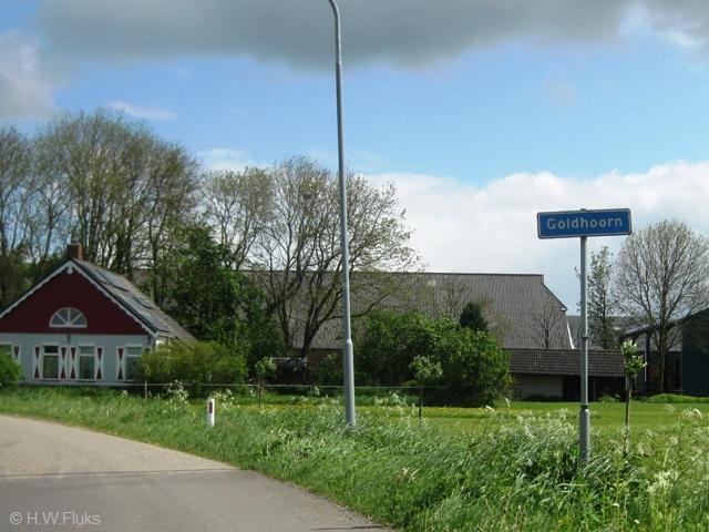goldhoorn9965
