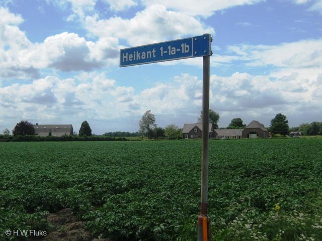 heikantoploo0638
