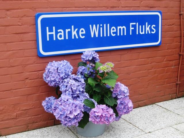 hwfluks0741