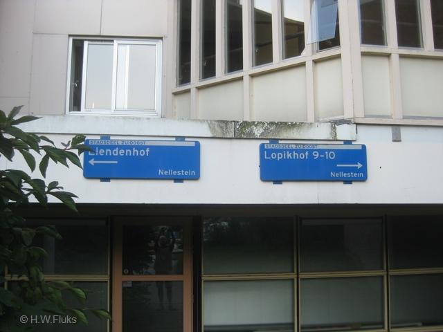 nellestein1255
