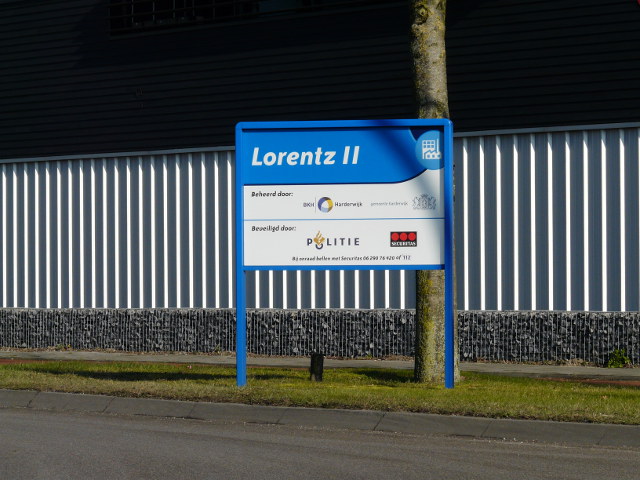 P1210676lorentzii