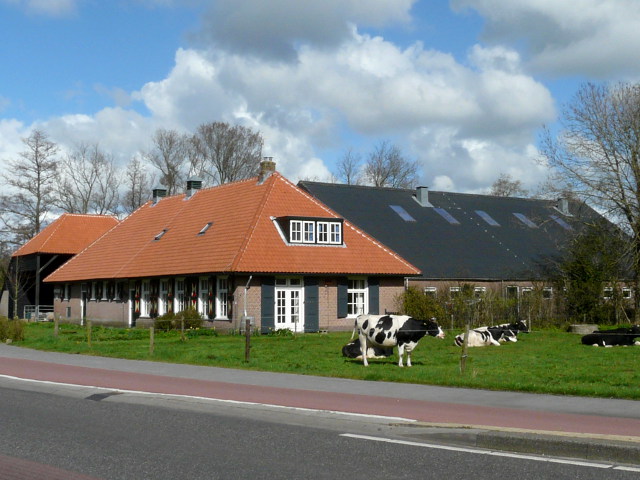 P1240076bakkum