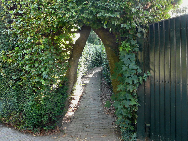 P1270794moergestel