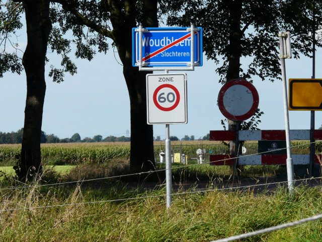 P1280029woudbloem