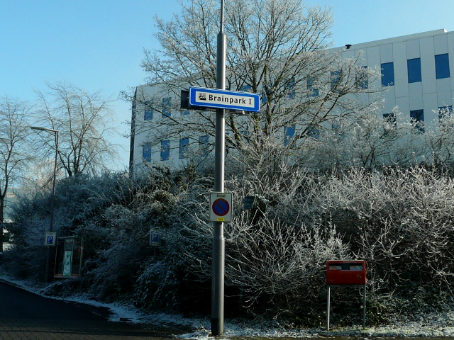 P1300020brainparki_w