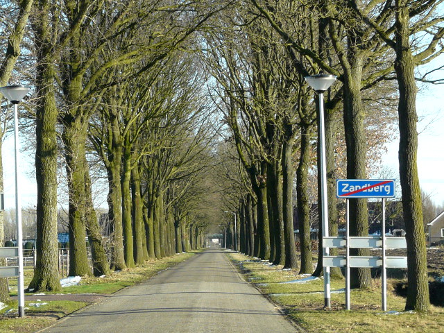 P1300053zandberg