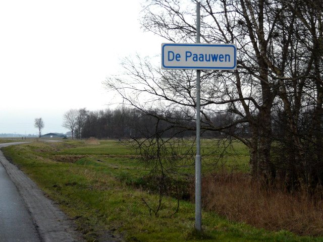 P1300240depaauwen