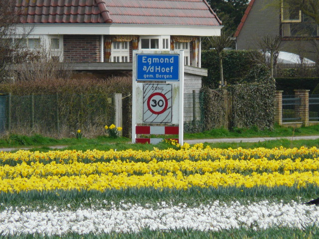 P1310190egmondadhoefmetbloemen_b