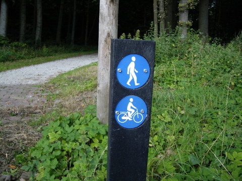 IMGP1496fietshaagsebos