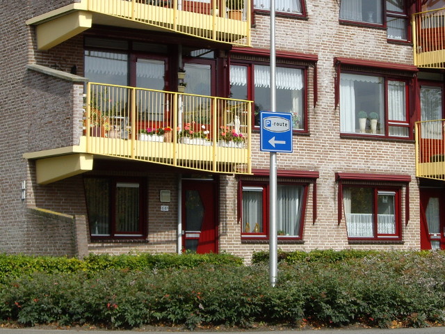 IMGP1846pettenleur