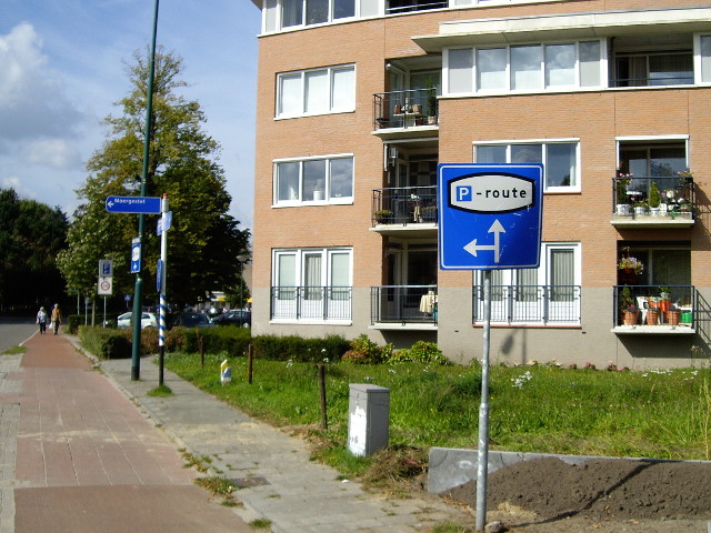 IMGP1861poisterwijk