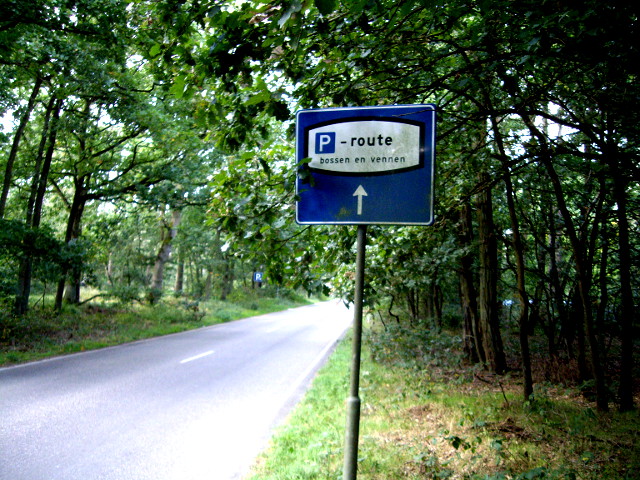 IMGP1867poisterwijkbossen