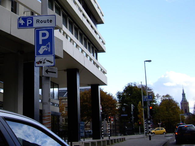 IMGP2284pdenhaagdakje