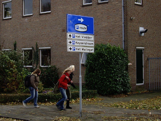 IMGP2326pmeppel