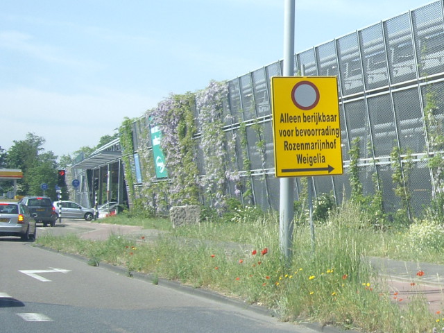 IMGP4823ldamberijkbaar