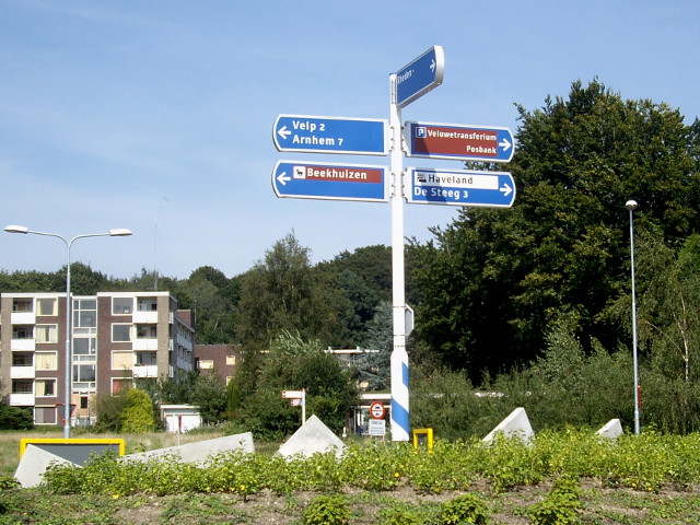 IMGP9075bruineveluwe