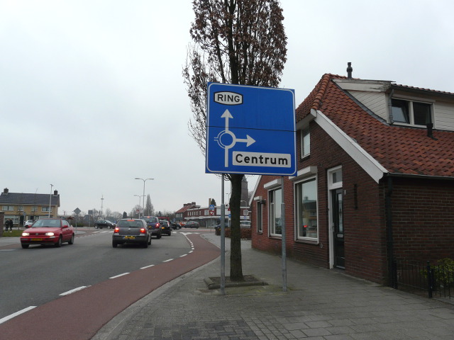 P1130573ringrijssen