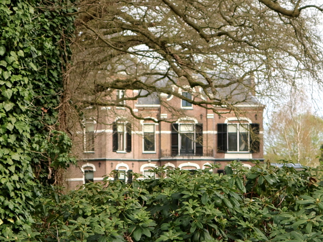 IMG_1193olstzorgvliet