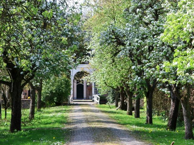 IMG_1382rijswijkaltenaslot