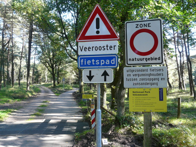 P1190765bordenwoud