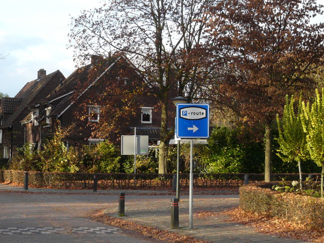 P1290590pgeldrop
