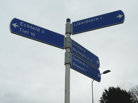 P1300485ijzerdoorn