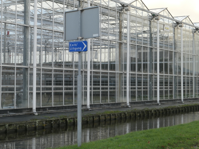 P1330145uithoekvanholland