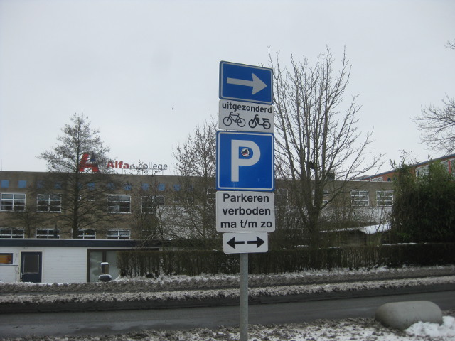 pverbodengroningen_3859