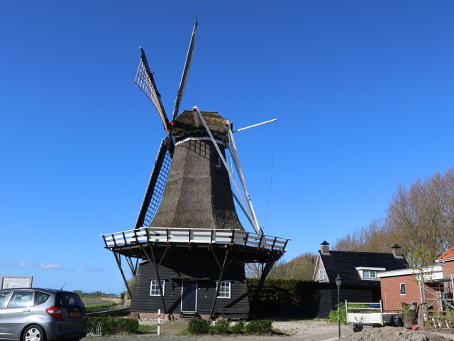 IMG_1491vrouwbuurtstermolen_z