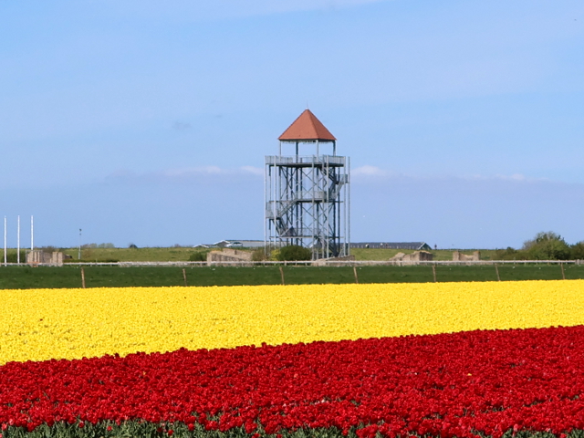 IMG_1728krabbendamnieuwendoorn