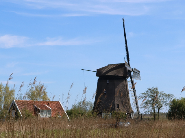 IMG_1763grootschermer_z