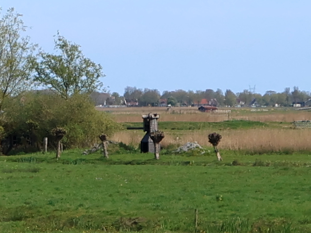 IMG_1775driehuizen_z