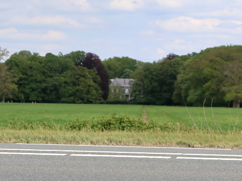 IMG_2053heinoreelaer