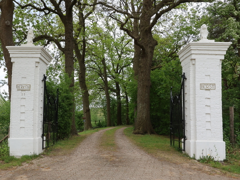 IMG_2064hoonhorstberkenhorst