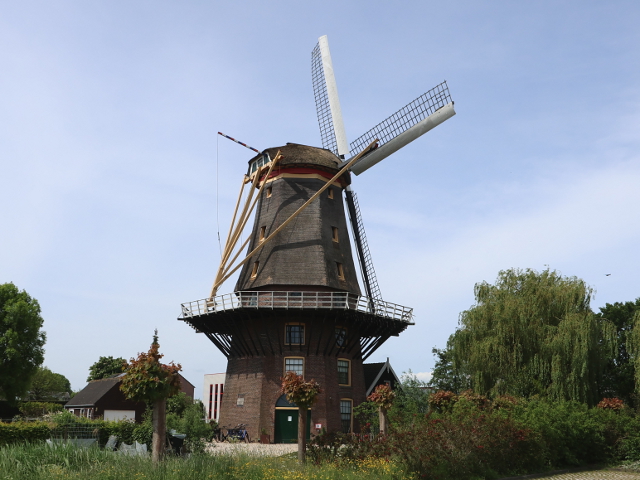 IMG_2201arkel_z