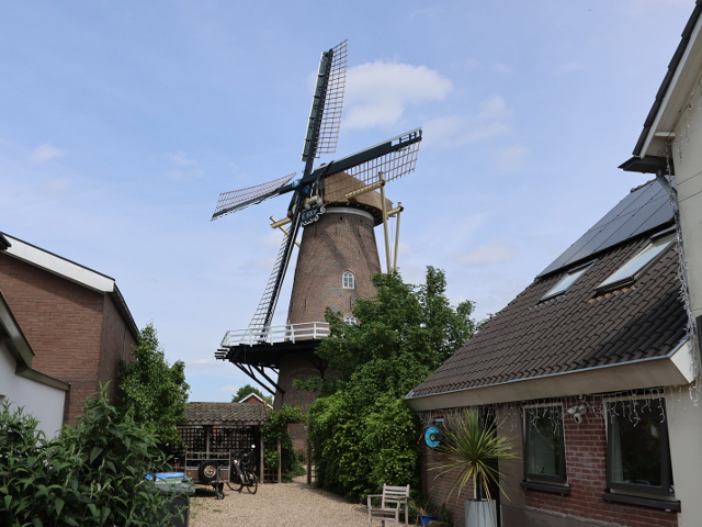 IMG_2214lienden_z