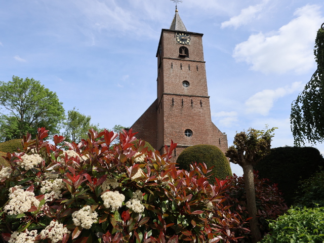 IMG_2224echteld_z