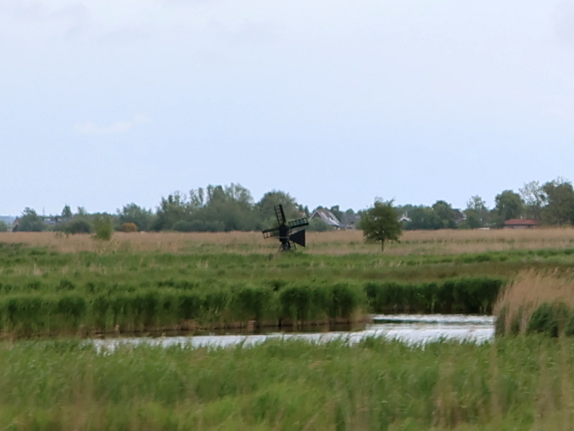 IMG_2605oostzaan_z